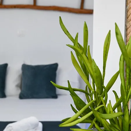 Navis Studio Zefiría Extérieur photo
